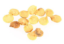 SaySure - 1bag Spicy Chili Pepper Seeds 10 Red Hot Spices Plants