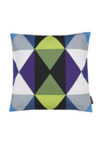 Contemporary Vibrant cuscino