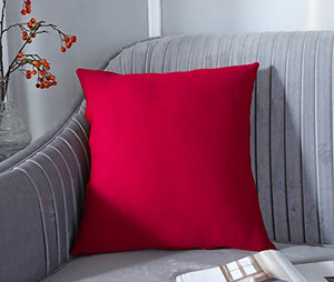 FARFALLAROSSA Copricuscini Fodere per Cuscini Quadrate, Impermeabile e Antimacchia, Decorazione per Divano Casa, 55x55 cm Rosso Pacco da 2