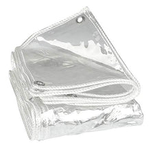 DLMSDG Telone, Teloni Impermeabili Trasparenti con Asola, Robusto E Duraturo, Resistenza allo Strappo, Resistenza al Freddo, per Camera Sole/Finestra/Balcone(1.8x3m(5.9x9.8ft))