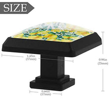 Limone dell'acquerello 3 PCS Pomelli per Porta, Pomolo per Mobile, Pomelli per Mobili con Viti, Maniglia per Armadietto, Pomelli per Porta, Pomelli per Cassetti per Porta, Armadio, Cassetto e Credenza