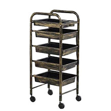 YIN YIN Carrello per Ripiani Pavimento per Parrucchiere Dedicato con Retro Semplice per Parrucchiere Carrello a rulli (Color : B)
