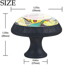 Pesci Betta Colorati Pomelli per Porta Set di 4 Pomelli per Mobili Manopole per Cassetti Cucina Armadio Vetro