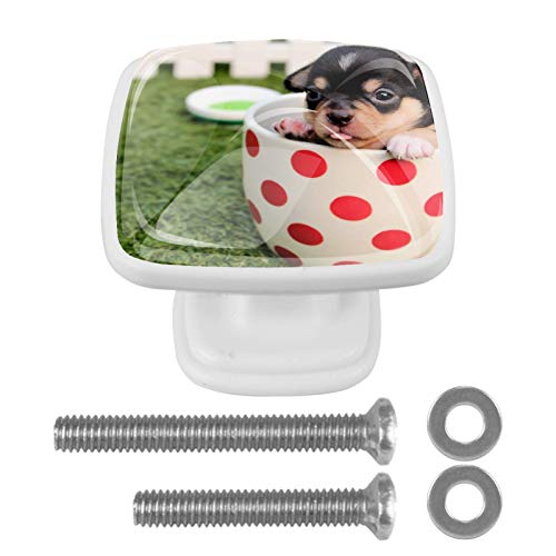 Set di 4 maniglie rotonde per armadio da cucina, credenza, cassettiera, cassettiera, con viti, per cucina, comò, armadietto, bagno, armadio e cane animale
