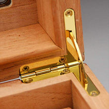 CLJ-LJ Legno di Cedro allineato Vetro Tetto apribile Cigar Cabinet può tenere 50 Cigar doppio strato con umidificatore e igrometro grande capacità del cassone regalo degli uomini ble for la sede di cl