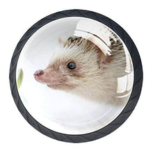 Pianta animale 4 PCS Pomelli per Porta, Pomolo per Mobile, Pomelli per Mobili con Viti, Maniglia per Armadietto, Pomelli per Porta, Pomelli per Cassetti per Porta, Armadio, Cassetto e Credenza