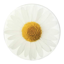 SANDINI Cuscino Motivo Floreale - Decorazione per la casa e Il Giardino - 38 x 6 cm