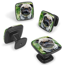 Carlino triste 4 PCS Pomelli per Porta, Pomolo per Mobile, Pomelli per Mobili con Viti, Maniglia per Armadietto, Pomelli per Porta, Pomelli per Cassetti per Porta, Armadio, Cassetto e Credenza