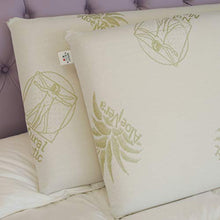 Baldiflex Emporio Materasso Matrimoniale Memory Plus Top 4 Strati 170 x 190 cm Alto 25 cm - Rivestimento Sfoderabile Aloe Vera Cus. Saponetta incl.
