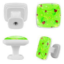 coccinella (2) 4 PCS Pomelli per Porta, Pomolo per Mobile, Pomelli per Mobili con Viti, Maniglia per Armadietto, Pomelli per Porta, Pomelli per Cassetti per Porta, Armadio, Cassetto e Credenza