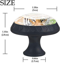 Cat Tiger Violent Outdoor Pomelli per Porta Set di 4 Pomelli per Mobili Manopole per Cassetti Cucina Armadio Vetro