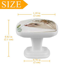 Pianta animale 4 PCS Pomelli per Porta, Pomolo per Mobile, Pomelli per Mobili con Viti, Maniglia per Armadietto, Pomelli per Porta, Pomelli per Cassetti per Porta, Armadio, Cassetto e Credenza