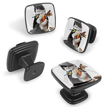 Gatto che alimenta uccello pittura ad acquerello uccello gatto Pomelli per Porta Set di 4 Pomelli per Mobili Manopole per Cassetti Cucina Armadio Vetro