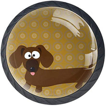 Cane bassotto Pomelli per Porta Set di 4 Pomelli per Mobili Manopole per Cassetti Cucina Armadio Vetro