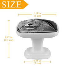 Leone in bianco e nero 4 PCS Pomelli per Porta, Pomolo per Mobile, Pomelli per Mobili con Viti, Maniglia per Armadietto, Pomelli per Porta, Pomelli per Cassetti per Porta, Armadio, Cassetto e Credenza