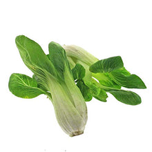 Piccola selezione di verdure dall'Asia - set di semi con 4 verdure asiatiche tipiche per wok e vaporiera