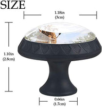 Giraffe africane del gruppo Walkin Pomelli per Porta Set di 4 Pomelli per Mobili Manopole per Cassetti Cucina Armadio Vetro