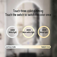 Sprayer Specchio cosmetico a Parete, Specchio da Bagno Illuminato a LED Intelligente da Parete, dimmerabile, Specchio cosmetico Ovale-Specchio cosmetico-ingranditore, Interruttore Touch