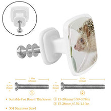 Pianta animale 4 PCS Pomelli per Porta, Pomolo per Mobile, Pomelli per Mobili con Viti, Maniglia per Armadietto, Pomelli per Porta, Pomelli per Cassetti per Porta, Armadio, Cassetto e Credenza