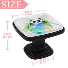 Home - Set di 4 pomelli quadrati per armadietti da cucina, credenze, mobili, mobili, cassetti, cassettiera, cassettiera, motivo: panda con terra
