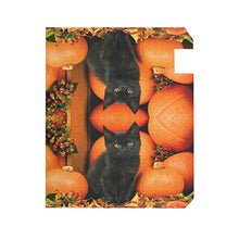 Autunno Nero Gatto Zucca Halloween Cassetta Postale Copre Magnetica Caduta Animale Gattino Foglie d'Acero Giardino Giardino Giardino Casa Decor Dimensioni Standard 53,3 cm x 45,7 cm