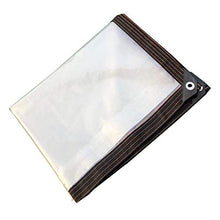 BGSFF Tettoia per Piante Telo Parasole Pieghevole Telo telone Impermeabile Balcone Tenda Parasole Rete Trasparente Telo Antipioggia Protezione Solare Telo per Campeggio Esterno Giardinaggio 4X4