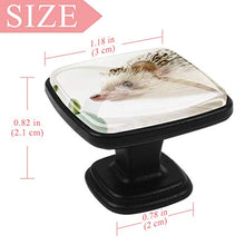 Pianta animale 4 PCS Pomelli per Porta, Pomolo per Mobile, Pomelli per Mobili con Viti, Maniglia per Armadietto, Pomelli per Porta, Pomelli per Cassetti per Porta, Armadio, Cassetto e Credenza