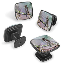 gufo Pomelli per Porta Set di 4 Pomelli per Mobili Manopole per Cassetti Cucina Armadio Vetro