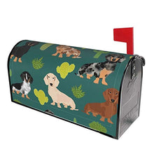 Doxie Cactus Cute Dachshund Dog Designs - Copertura magnetica per cassetta postale per giardino, cortile, dimensioni standard, 53 x 45 cm