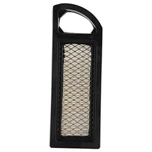 VIFERR Filtro Aria Compatibile con Briggs & Stratton 697153 698083 795115 653202 695547 697014 14-17.5HP