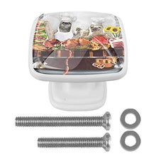 Cucina pigra in cucina 4 PCS Pomelli per Porta, Pomolo per Mobile, Pomelli per Mobili con Viti, Maniglia per Armadietto, Pomelli per Porta, Pomelli per Cassetti per Porta, Armadio, Cassetto e Credenza