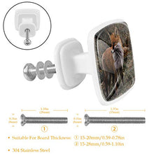 Volpe animale 4 PCS Pomelli per Porta, Pomolo per Mobile, Pomelli per Mobili con Viti, Maniglia per Armadietto, Pomelli per Porta, Pomelli per Cassetti per Porta, Armadio, Cassetto e Credenza