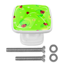 coccinella (2) 4 PCS Pomelli per Porta, Pomolo per Mobile, Pomelli per Mobili con Viti, Maniglia per Armadietto, Pomelli per Porta, Pomelli per Cassetti per Porta, Armadio, Cassetto e Credenza