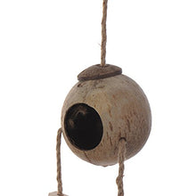 BulzEU - Natural Bird - Casetta in guscio di cocco, con scaletta in corda. Perfetta come nido per il tuo passerotto, cocorita o papagallino, oppure per il tuo topino.