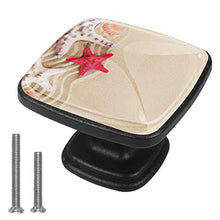 Stelle marine conchiglie pietre di mare e foglie di palma Pomelli per Porta Set di 4 Pomelli per Mobili Manopole per Cassetti Cucina Armadio Vetro