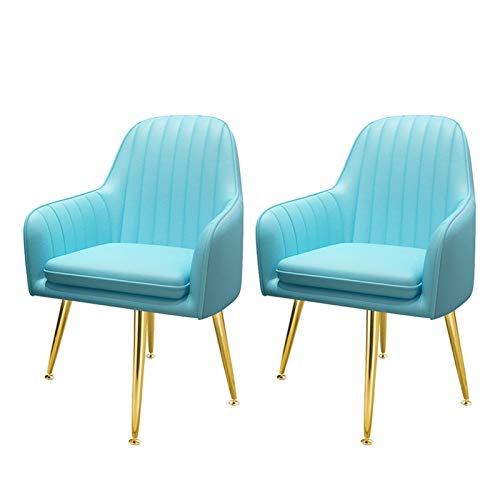 WWL Set 2 Stile Lusso Moderno Sgabello Trucco Pigro Mobili Soggiorno Sofà Negozio Unghie Dell'hotel Sedia Nordica Sedie Pranzo Design Schienale Pelle sedie Pranzo Velluto (Color : D)