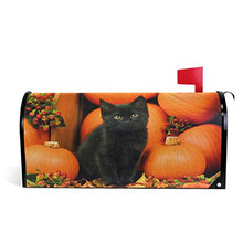 Autunno Nero Gatto Zucca Halloween Cassetta Postale Copre Magnetica Caduta Animale Gattino Foglie d'Acero Giardino Giardino Giardino Casa Decor Dimensioni Standard 53,3 cm x 45,7 cm