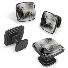 cavallo bianco 4 PCS Pomelli per Porta, Pomolo per Mobile, Pomelli per Mobili con Viti, Maniglia per Armadietto, Pomelli per Porta, Pomelli per Cassetti per Porta, Armadio, Cassetto e Credenza