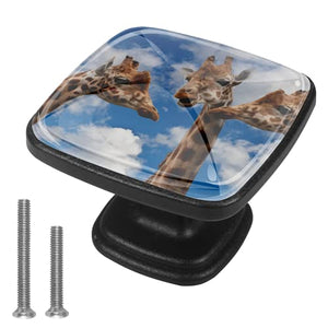 Set di 4 pezzi con maniglia quadrata per armadio da cucina, credenza, cassettiera, cassettiera, con viti, per cucina, comò, armadietto, bagno, armadio a tre giraffe