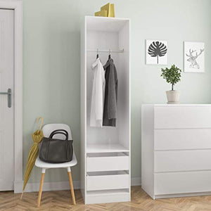 Tidyard Armadio Guardaroba da Ingresso Soggiorno, Armadio Camera da Letto, con 2 Cassetti e 1 Ampio Scomparto con Barra Appendiabiti, Bianco Lucido 50x50x200 cm
