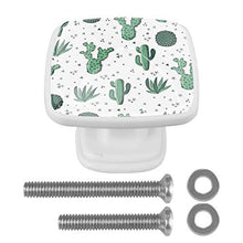 Succulente estive 4 PCS Pomelli per Porta, Pomolo per Mobile, Pomelli per Mobili con Viti, Maniglia per Armadietto, Pomelli per Porta, Pomelli per Cassetti per Porta, Armadio, Cassetto e Credenza