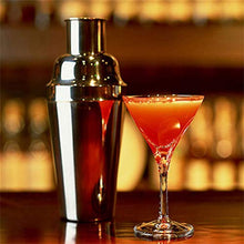 Bireegoo - Shaker da cocktail da 750 ml, in acciaio inox, per preparare Martini, in acciaio INOX (21 x 8 cm)