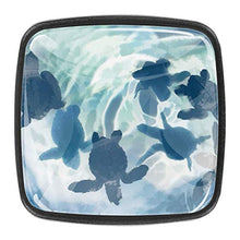 Tartaruga blu 4 PCS Pomelli per Porta, Pomolo per Mobile, Pomelli per Mobili con Viti, Maniglia per Armadietto, Pomelli per Porta, Pomelli per Cassetti per Porta, Armadio, Cassetto e Credenza