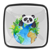Home - Set di 4 pomelli quadrati per armadietti da cucina, credenze, mobili, mobili, cassetti, cassettiera, cassettiera, motivo: panda con terra