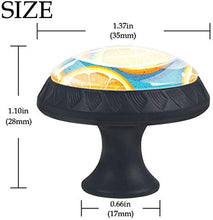Deliziose Fette Di Arancia Pomelli per Porta Set di 4 Pomelli per Mobili Manopole per Cassetti Cucina Armadio Vetro