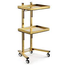 KDBEB 2 Piani Scaffali Componibili con Ruote,Giallo Acciaio Carrello Spesa con Maniglie Ergonomiche per Il Carrello di Stoccaggio del Parrucchiere del Parrucchiere