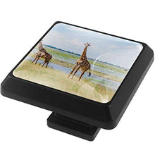 Giraffa Africa 3 PCS Pomelli per Porta, Pomolo per Mobile, Pomelli per Mobili con Viti, Maniglia per Armadietto, Pomelli per Porta, Pomelli per Cassetti per Porta, Armadio, Cassetto e Credenza