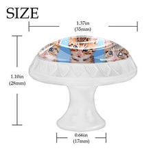 Tre gatti narcisi 4 PCS Pomelli per Porta, Pomolo per Mobile, Pomelli per Mobili con Viti, Maniglia per Armadietto, Pomelli per Porta, Pomelli per Cassetti per Porta, Armadio, Cassetto e Credenza