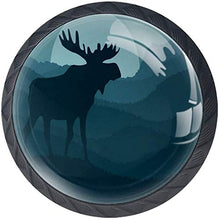Silhouette Alci Sulla Notte Di Rolling Hills Pomelli per Porta Set di 4 Pomelli per Mobili Manopole per Cassetti Cucina Armadio Vetro