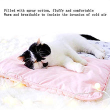 YBQ Moda Pad di Raffreddamento Pet Pentagramma Pad Cool Pad Antiaderente Coperta di Stampa Stagione può Lavare Senza Deformazione E Facile da Maneggiare Pet Universale, Grigio .Facile da Pulire